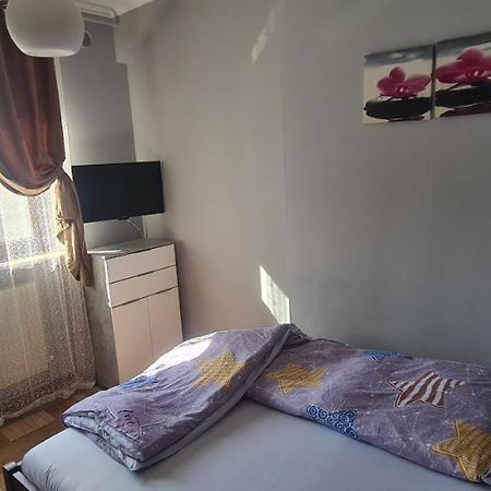 Comfort Home Apartment 1 Petrosani Luaran gambar
