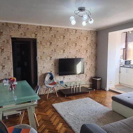 Comfort Home Apartment 1 Petrosani Luaran gambar