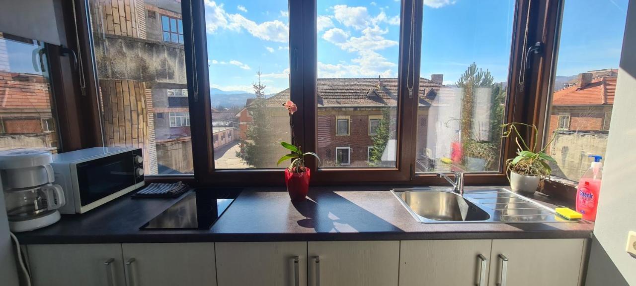 Comfort Home Apartment 1 Petrosani Luaran gambar