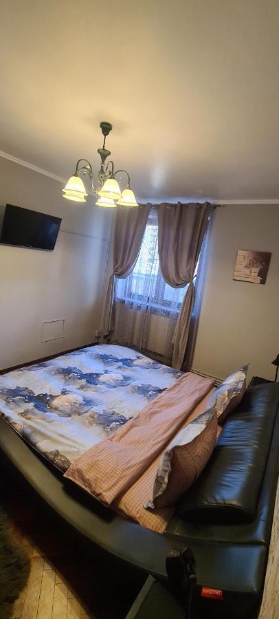 Comfort Home Apartment 1 Petrosani Luaran gambar