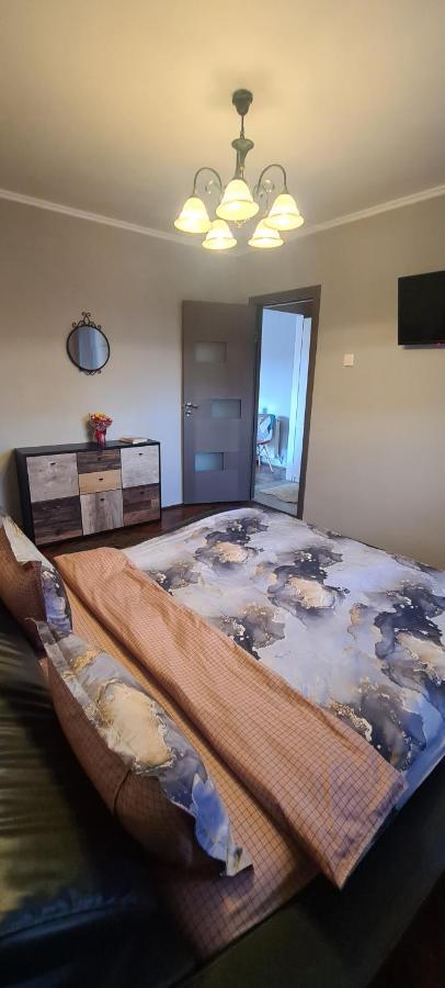 Comfort Home Apartment 1 Petrosani Luaran gambar